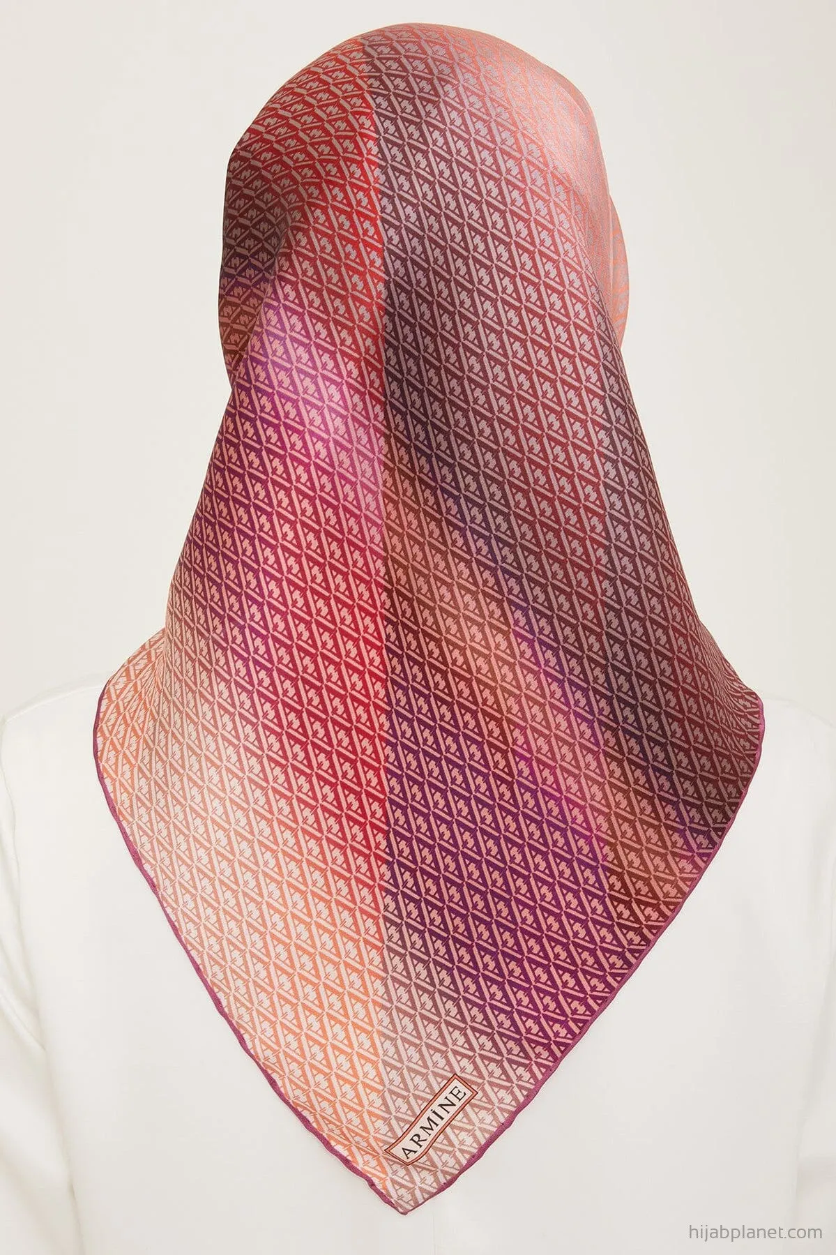 Armine Hathway Women Silk Scarf #10