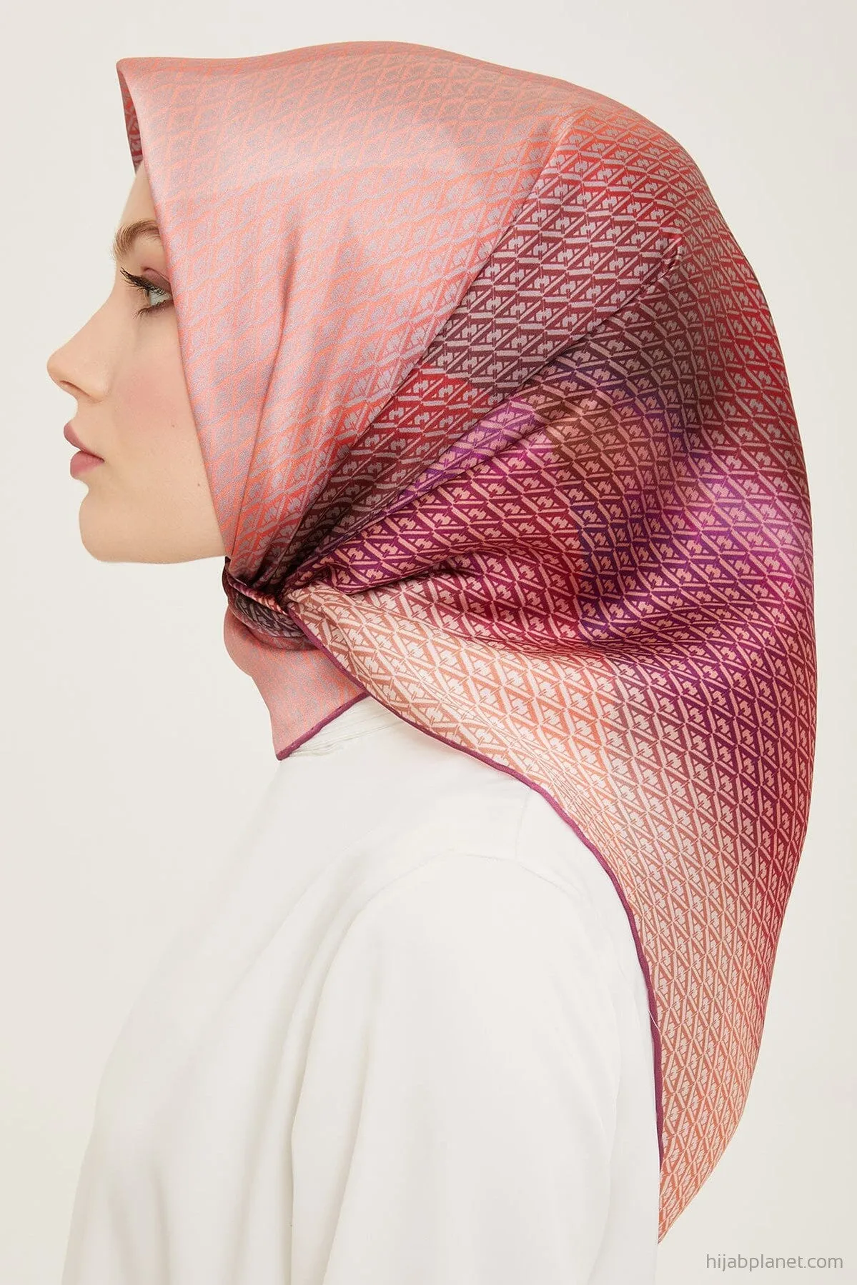 Armine Hathway Women Silk Scarf #10