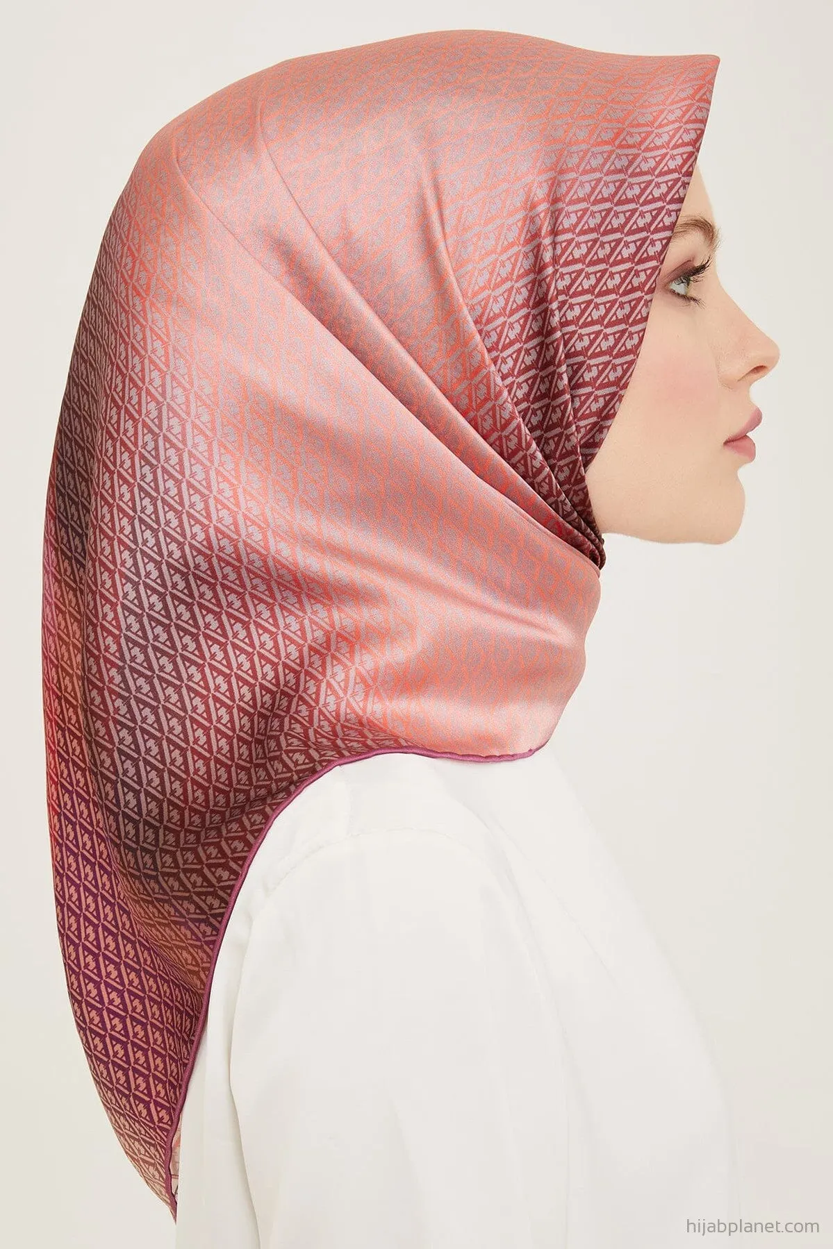 Armine Hathway Women Silk Scarf #10